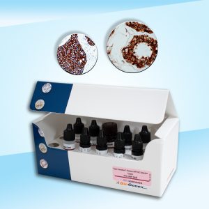 IHC Detection Kits