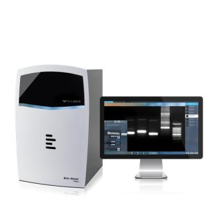 Bio-Print