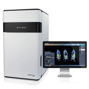 Newton 7.0 Vivo