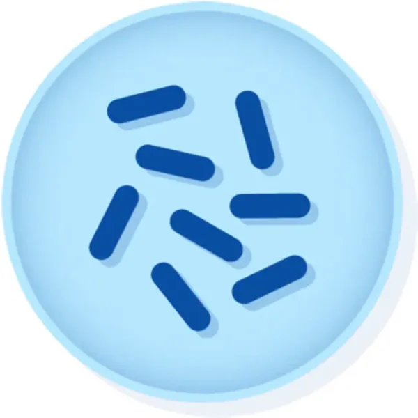Bacillus subtilis +