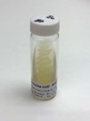 Escherichia coli K12 strain