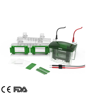 Mini Vertical Electrophoresis Tank