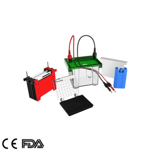 Transfer electrophoresis tank