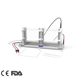Vertical Electrophoresis Cell