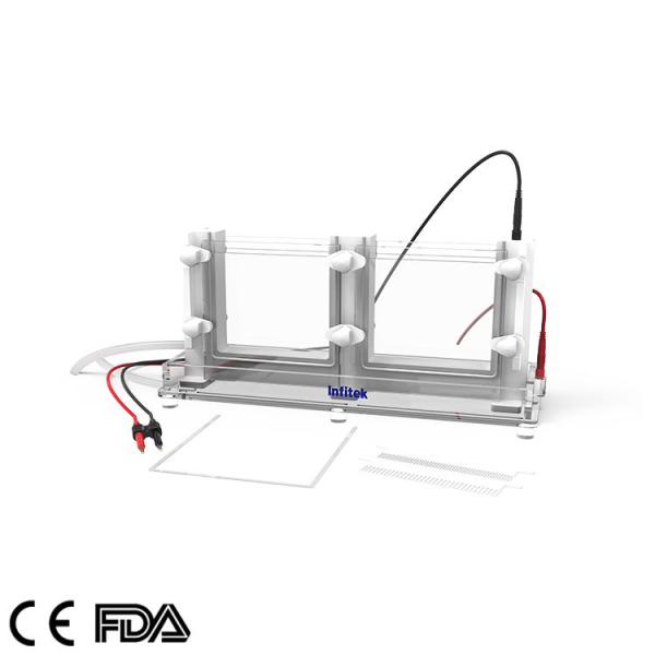 Vertical Electrophoresis Cell