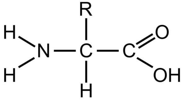 carboxylic acids, Marker Mixture Three Amino Acids 5 mL of mixture containing: DL Aspartic acid; DL Leucine and DL Lysine hydrochloride. Pack Size:1