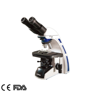 Microscope