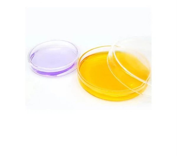 Glass petri dish - Image 3