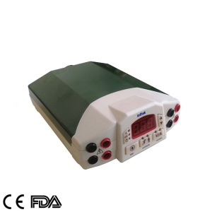 Mini basic electrophoresis apparatus