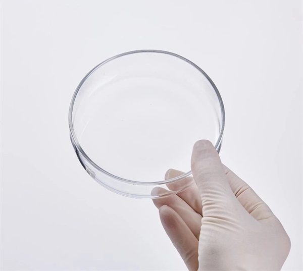 Glass petri dish - Image 4