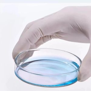 Glass Petri Dish – 90x15mm – Pack of 10 Pack of ten