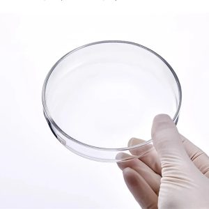 Glass Petri Dish – 90x15mm – Pack of 10 Pack of ten